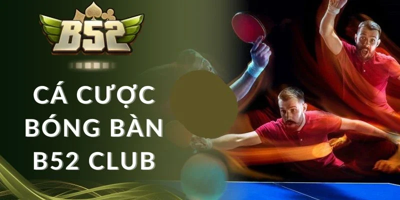 Phân tích trận đấu, tay vợt để vào tiền hợp lý